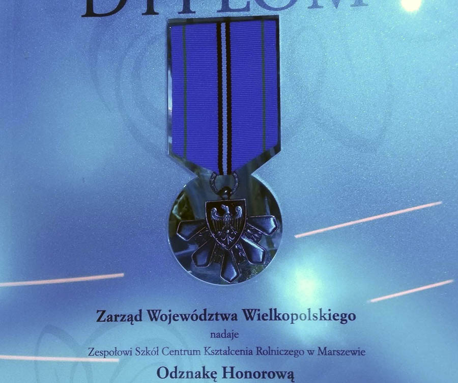 Za Zasługi dla Województwa Wielkopolskiego