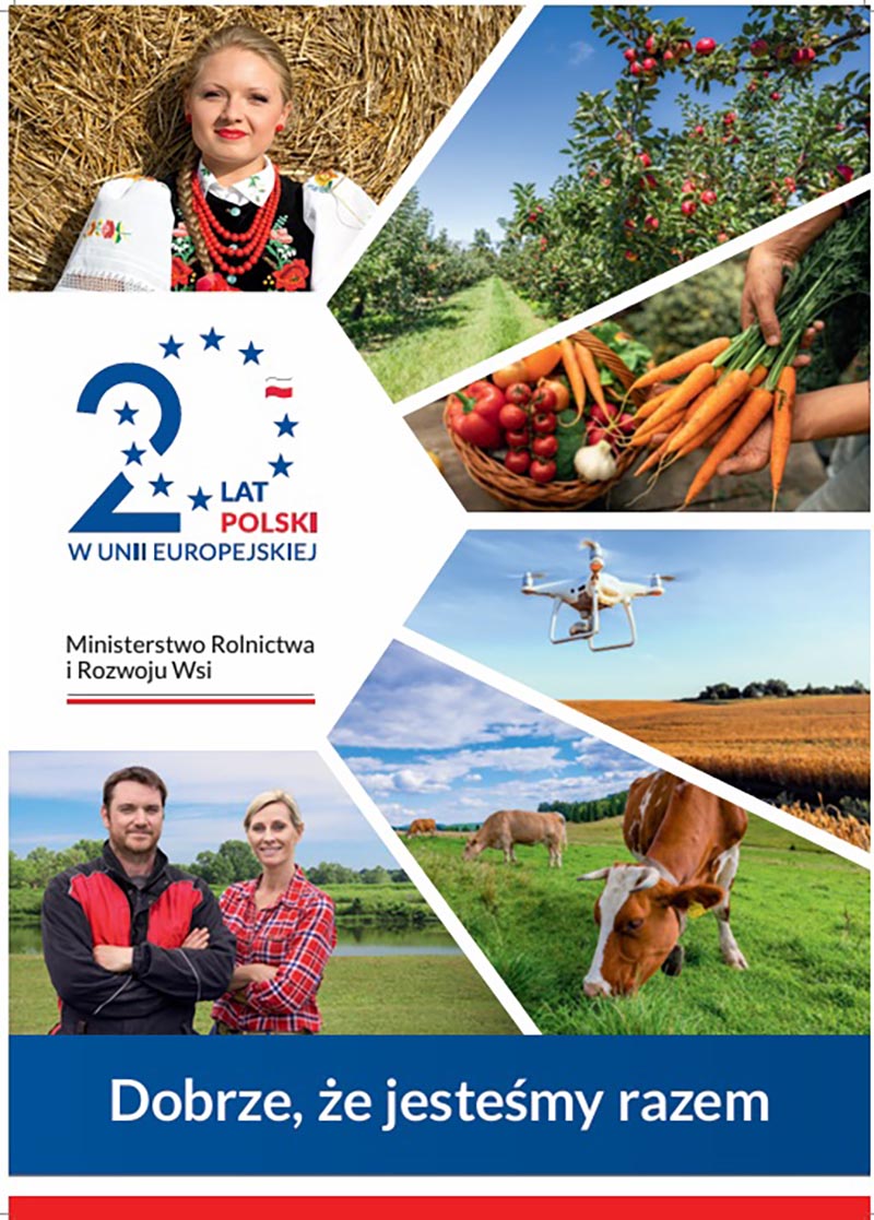 dobrze ze jestesmy razem - W latach 1993-2003 średni roczny napływ bezpośrednich inwestycji zagranicznych wynosił 4 mld euro
