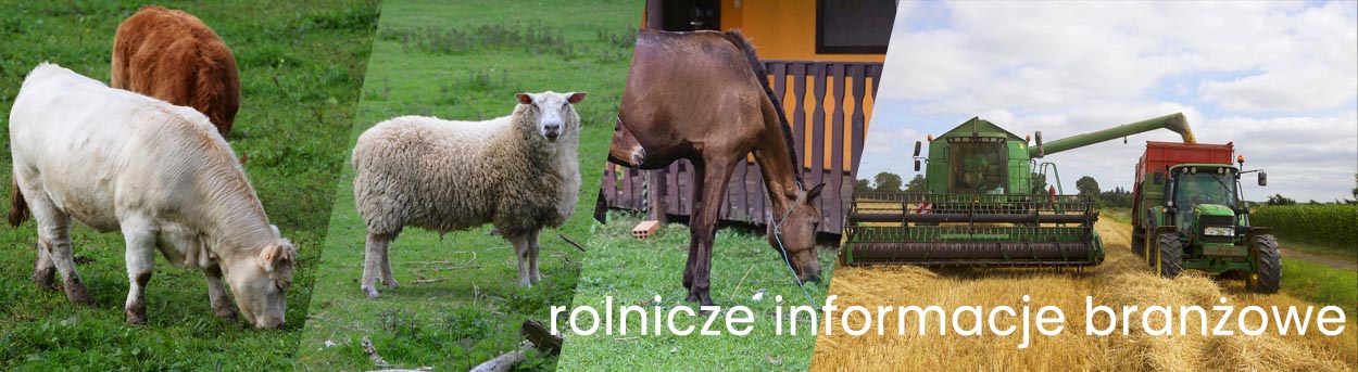 rolnicze informacje branzowe